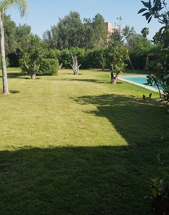 WhatsApp Image 2024-09-21 at 14.34.56(3)