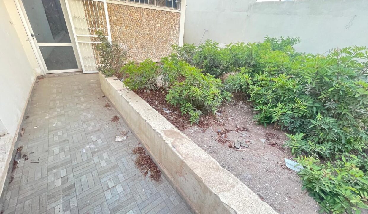 WhatsApp Image 2024-09-27 at 18.40.05