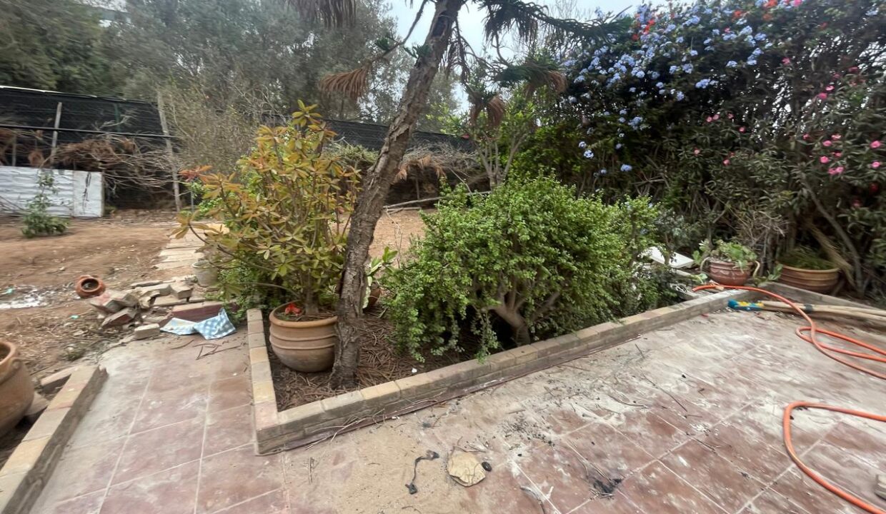 WhatsApp Image 2024-10-09 at 17.23.49(3)